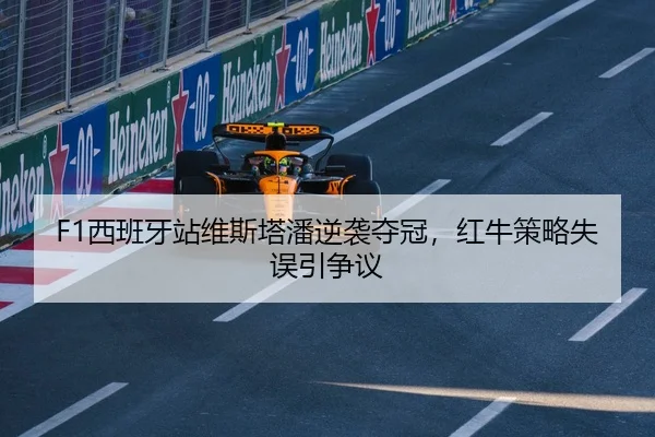 xi-ban-ya-zhan-wei-si-ta-pan-ni-xi-duo-guan-hong-niu-ce-lve-shi-wu-yin-zheng-yi-3-237.jpg