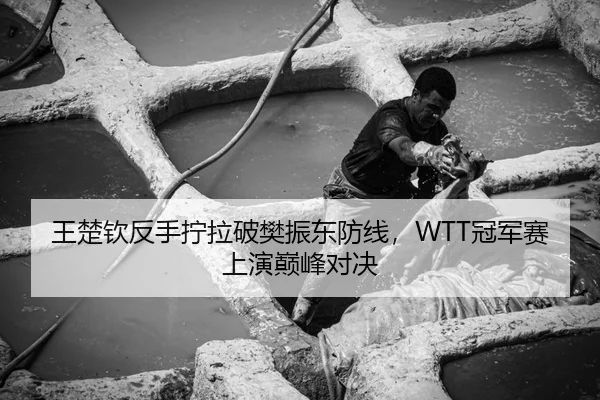 王楚钦反手拧拉破樊振东防线，WTT冠军赛上演巅峰对决