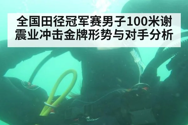 全国田径冠军赛男子100米谢震业冲击金牌形势与对手分析
